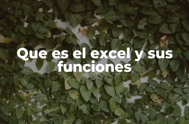 Que es el Excel y Sus Funciones