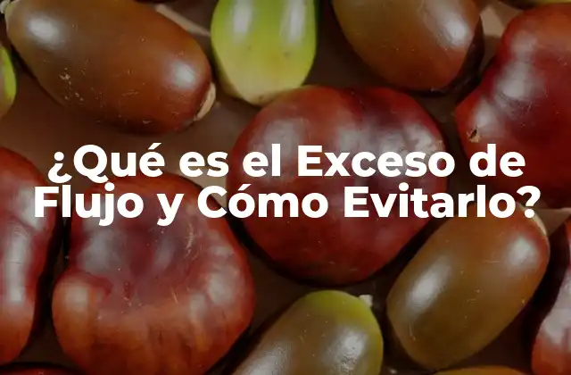 ¿qué es el Exceso de Flujo y Cómo Evitarlo?