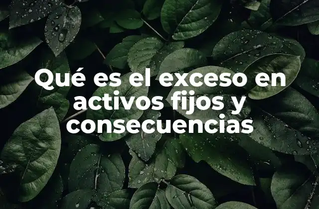 Qué es el Exceso en Activos Fijos y Consecuencias