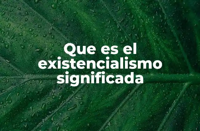 Que es el Existencialismo Significada
