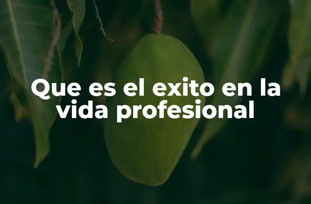 Que es el Exito en la Vida Profesional