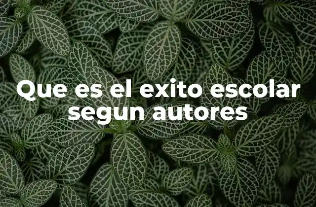 Que es el Exito Escolar Segun Autores