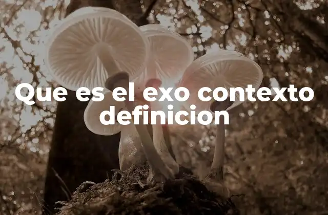 Que es el Exo Contexto Definicion