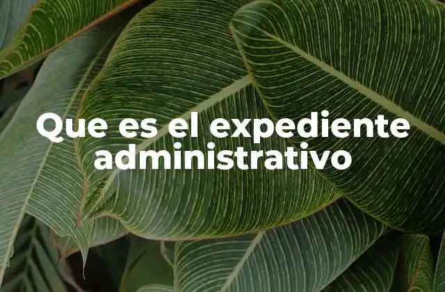 Que es el Expediente Administrativo