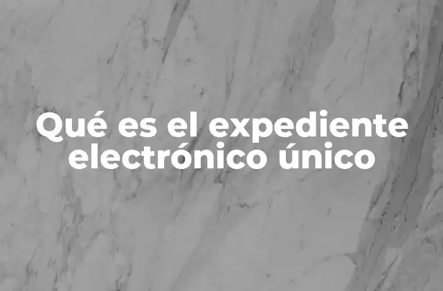 Qué es el Expediente Electrónico Único