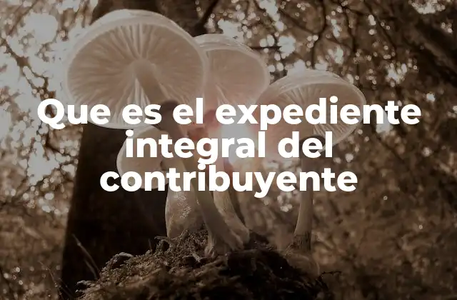 Que es el Expediente Integral Del Contribuyente
