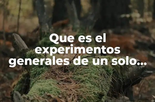 Que es el Experimentos Generales de un Solo Factor
