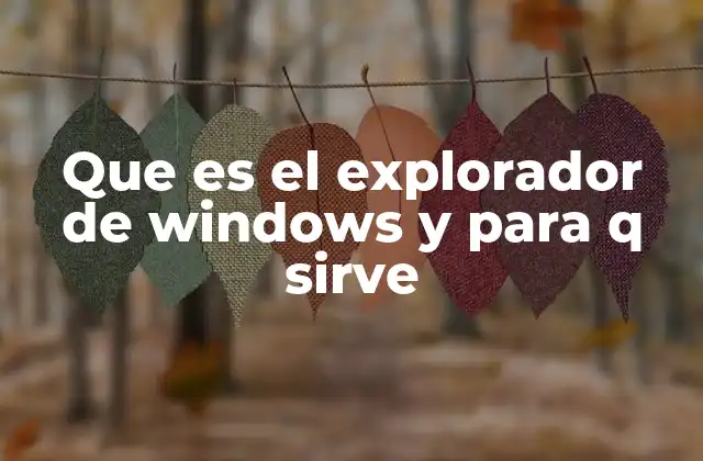 Que es el Explorador de Windows y para Q Sirve