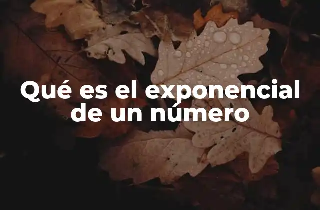Qué es el Exponencial de un Número