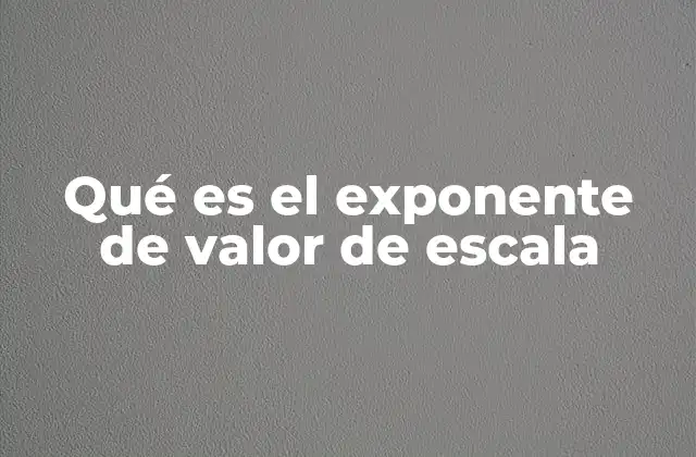 Qué es el Exponente de Valor de Escala