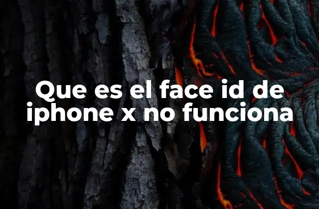 Que es el Face Id de Iphone X No Funciona