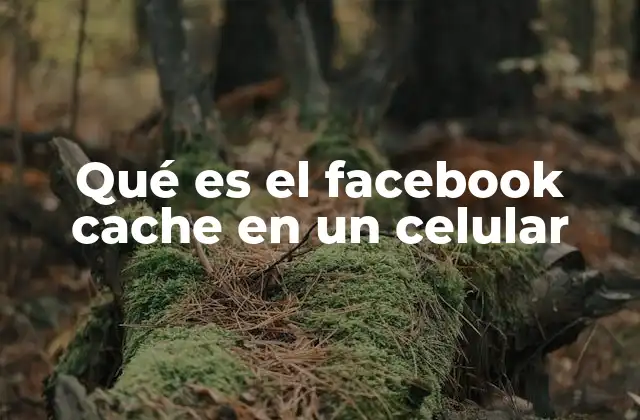 Qué es el Facebook Cache en un Celular