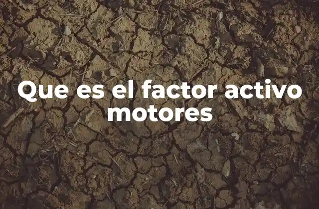 Que es el Factor Activo Motores