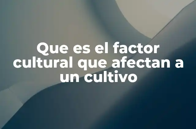 Factores sociales que influyen en la agricultura