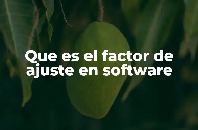 La importancia del factor de ajuste en la gestión de proyectos tecnológicos