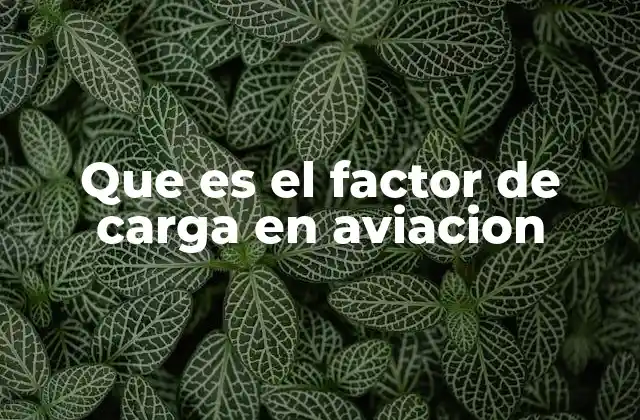 Que es el Factor de Carga en Aviacion
