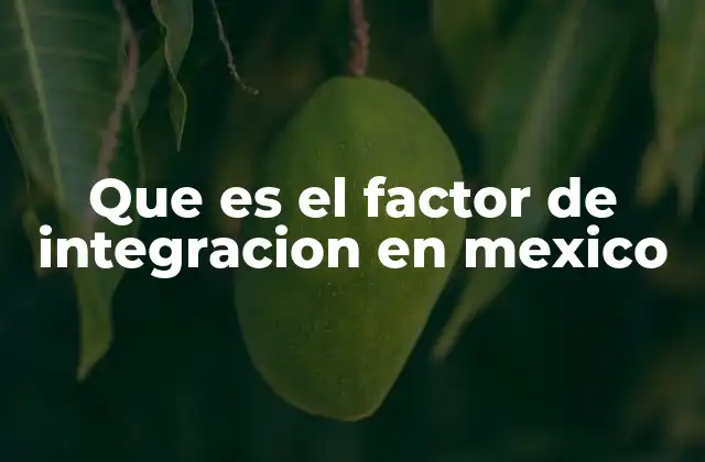 Que es el Factor de Integracion en Mexico