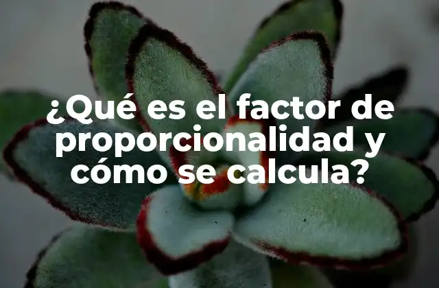 Cómo identificar una relación proporcional sin mencionar el factor