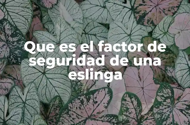 Cómo se aplica el concepto de seguridad en el uso de eslingas