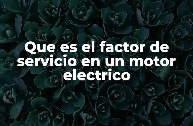 Que es el Factor de Servicio en un Motor Electrico