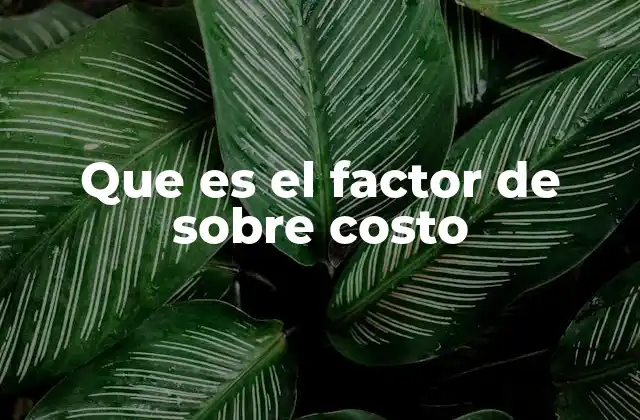 Que es el Factor de sobre Costo