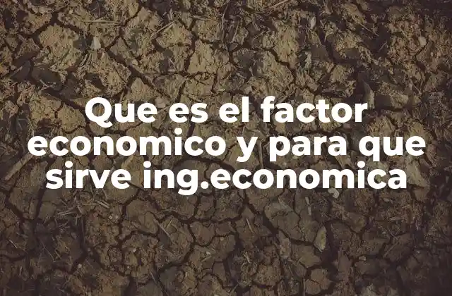 Que es el Factor Economico y para que Sirve Ing.economica