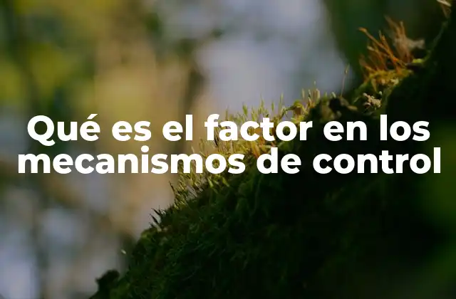 Qué es el Factor en los Mecanismos de Control