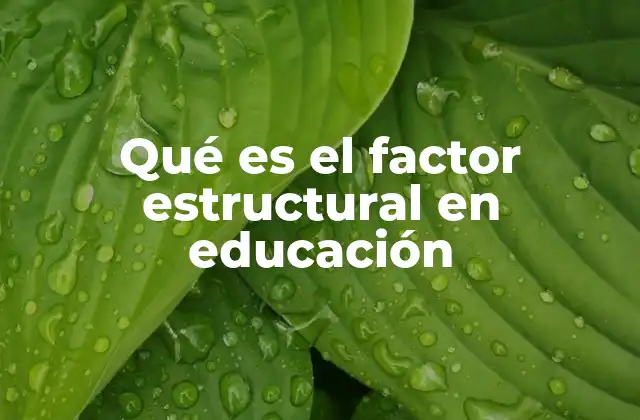 Qué es el Factor Estructural en Educación