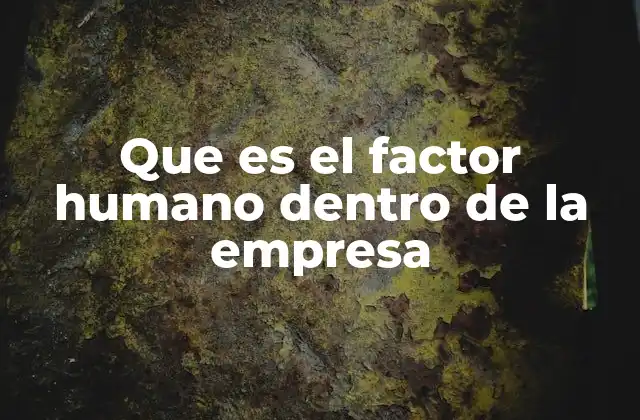 Que es el Factor Humano Dentro de la Empresa