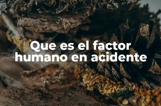 Que es el Factor Humano en Acidente