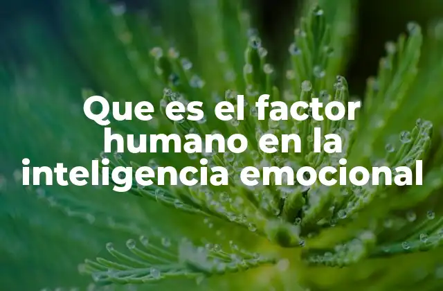 Que es el Factor Humano en la Inteligencia Emocional