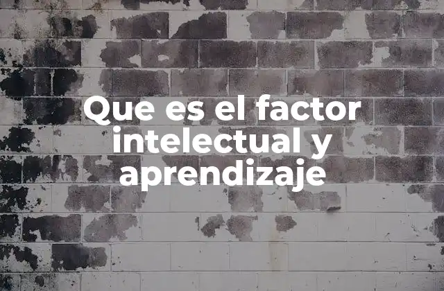 Que es el Factor Intelectual y Aprendizaje