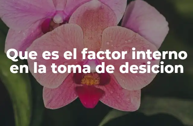 Que es el Factor Interno en la Toma de Desicion