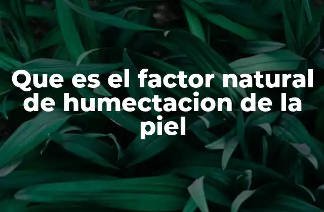 Que es el Factor Natural de Humectacion de la Piel 2 Cómo actúa el factor natural de humectación en la piel