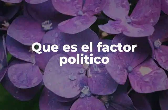 Que es el Factor Politico
