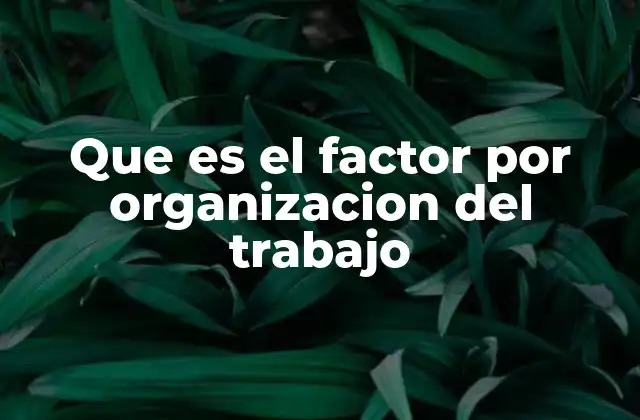 Que es el Factor por Organizacion Del Trabajo