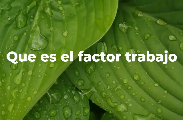 Que es el Factor Trabajo