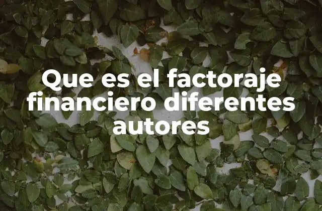 Que es el Factoraje Financiero Diferentes Autores