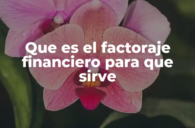 Que es el Factoraje Financiero para que Sirve