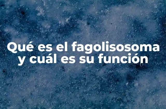 Qué es el Fagolisosoma y Cuál es Su Función