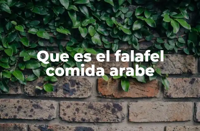 Que es el Falafel Comida Arabe