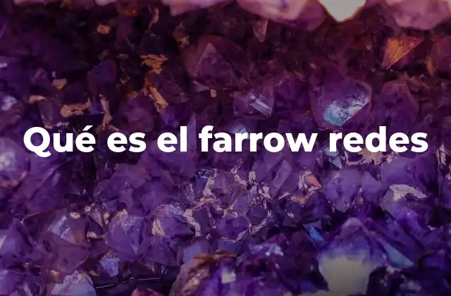 La evolución del diseño de redes en el contexto del Farrow Redes