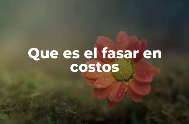 Que es el Fasar en Costos