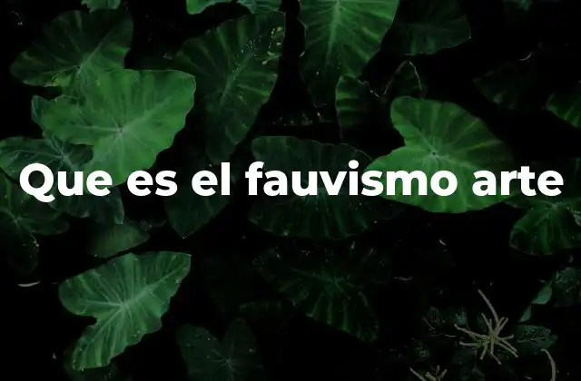 Que es el Fauvismo Arte