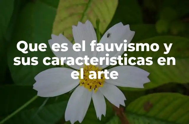 Que es el Fauvismo y Sus Caracteristicas en el Arte
