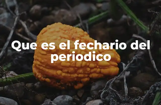 Que es el Fechario Del Periodico