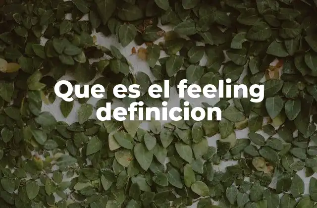 Que es el Feeling Definicion