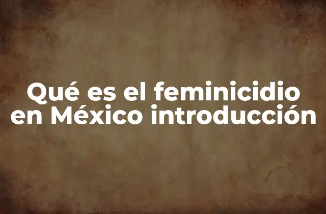 Qué es el Feminicidio en México Introducción