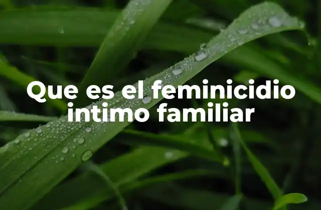 Que es el Feminicidio Intimo Familiar