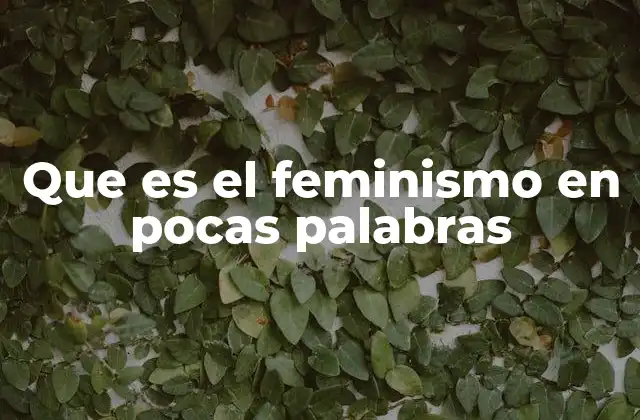 Que es el Feminismo en Pocas Palabras